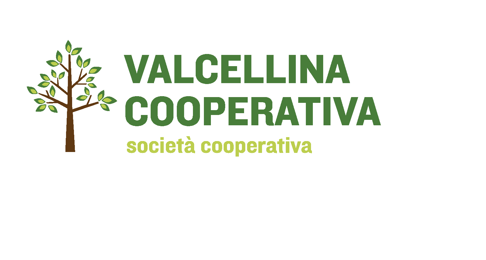 Logo Valcellina Cooperativa 202